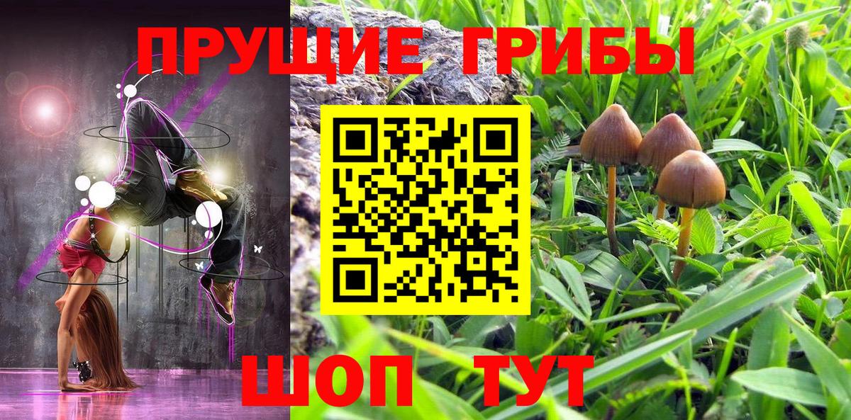 Псилоцибиновые грибы Psilocybine cubensis Моздок