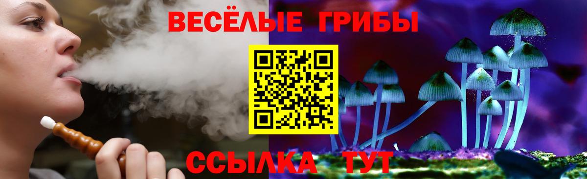 Галлюциногенные грибы Cubensis  Галлюциногенные грибы Psilocybe  купить закладку  Моздок  Вход с VPN 