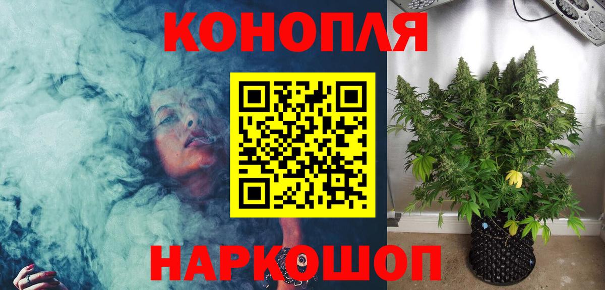 Бошки марихуана индика Моздок